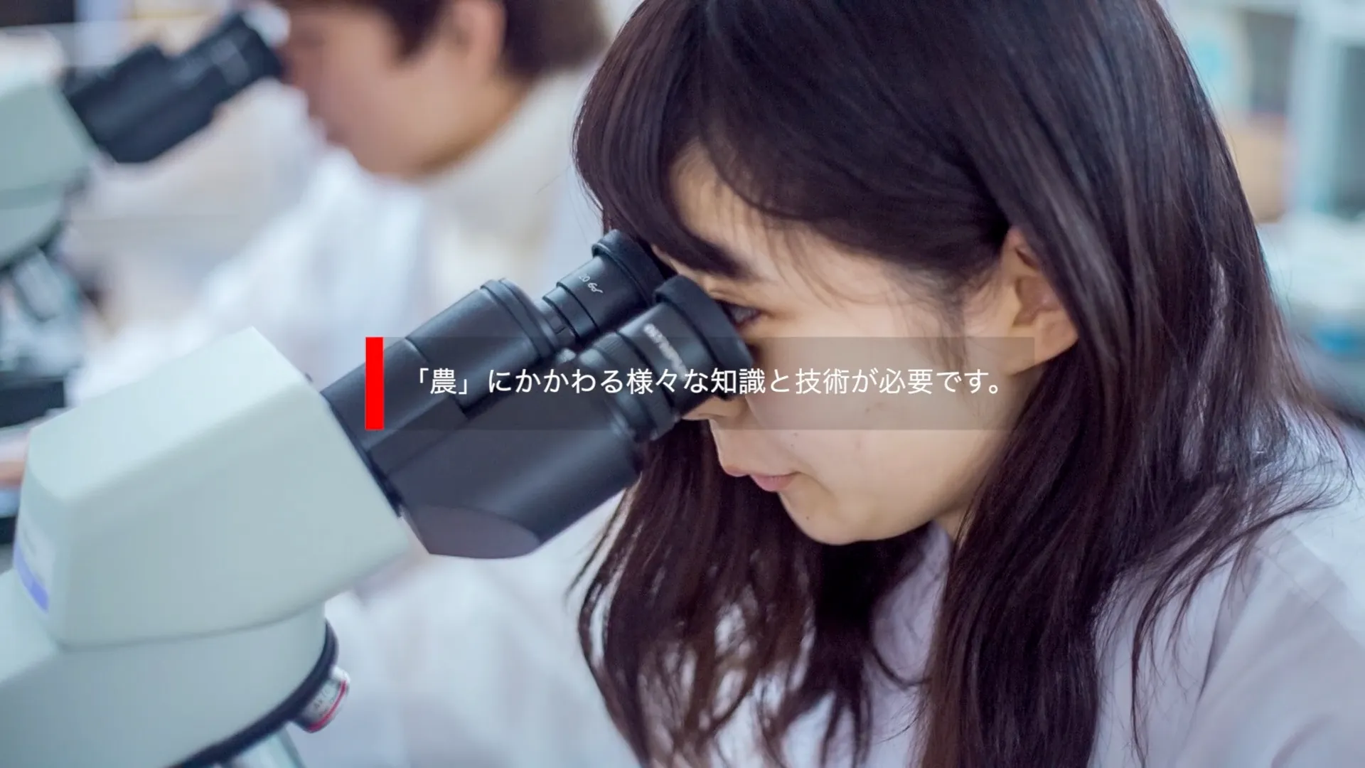 龍谷大学農学部 様|農学部プロモーション映像制作